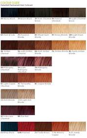 38 Best Naturtint Healthy Hair Dye Images Healthiest Hair