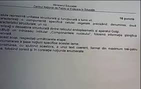 Astăzi se desfășoare un nou examen de simulare a examenului de bac 2021, cu proba la alegere a profilului și specializării. R3ng2t0bhkyfbm