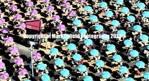 MARK ENFIELD Olympics 7b (2)