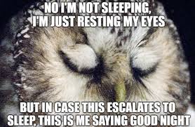 5) funny good night images for friends. 56 Best Good Night Meme Meme Central