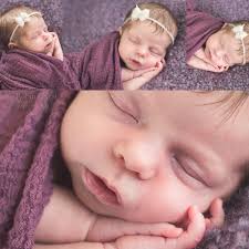 The Robin's Nest Photography