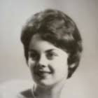 Here Are the Post-Graduation Plans for Members of Darien High's Class of  2017