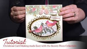 Vellum has a very polished and professional look for your paper projects. How To Create Elegant Cards For All Occasions With The Backyard Blossoms