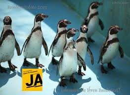 Die bundeskanzlei hat das offizielle bundesratsfoto 2018 publiziert. Aaaah Das Bundesratsfoto 2013 Roland Moser Reinach