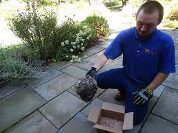 Consumer services in wappingers falls, new york. About Us Buggsies Pest Services Inc