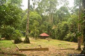 Setiap hari sabtu, kami diwajibkan untuk mengikuti kegiatan pramuka. Mencari Tapak Perkhemahan Di Taman Negeri Selangor Hutan Lipur Sungai Tua Xplorasi Destinasi