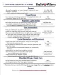 The Cranial Nerve Assessment For Nurses | Health And Willness