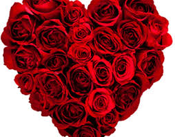 We have an exotic range of flowers in dubai, delivered by professional florists in uae, to make your moments elegant and memorable. Rose Charmsjlt On Behance