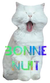 Résultat de recherche d'images pour "gif bonne nuit"
