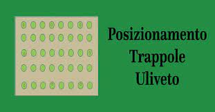 Il prodotto è come è stato presentato nel sito. Trappole Mosca Dell Olivo Fai Da Te Preparazione E Posizionamento