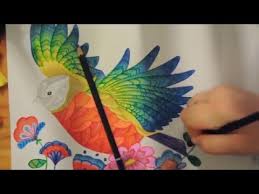 Favorite illustrations from coloring adventures (a millie marotta adult coloring book) by millie marotta | sep 4, 2018. Adult Coloring Book Time Lapse Millie Marotta Animal Kingdom Youtube