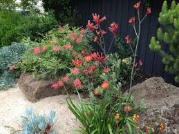 Intended as a tribute to australia's geological legacy, the garden displays huge rock specimens from across the. The Best Garden Designer In Australia Janna Schreier Garden Design