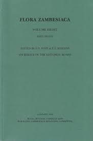 Image result for Nesogenaceae