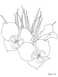 Use crayola® crayons, colored pencils, or markers to color the easter lilies. Lily Flower Coloring Pages Coloring Home