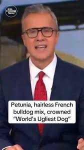 Petunia, a 2-year-old hairless French bulldog mix ,has been dubbed the  World’s Ugliest Dog. She nabbed the title Friday evening at the Sonoma  County Fair in Santa Rosa, California, winning her owner ...