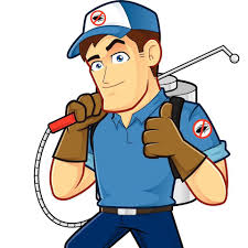 Best pest control services in perth western australia. All In One Pest Control Termites Home Facebook