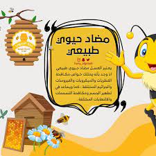 عسل السدر الجبلي الاصلي من درة الجنوب مضاد حيوي طبيعي photo and video instagram photo instagram