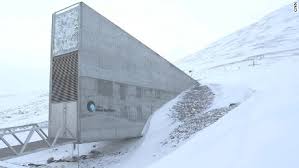 Feminized seeds and autoflower seeds from elite genetics. See Inside The Doomsday Seed Vault Cnn Video
