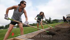 Schoolyard Roots Garden Project at University Place Elementary