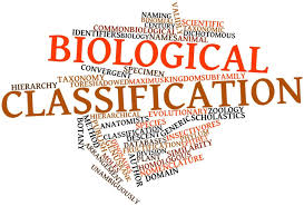 Trivia Tuesday What Is Binomial Nomenclature Answer 2 Part Naming System Trivia Tuesday Trivia Taxonomy