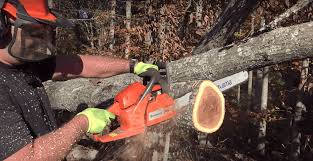Husqvarna Vs Stihl Trimmers Chainsaw Brands Take On Trimmers