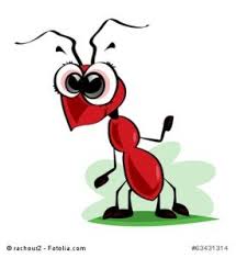 Zimt Gegen Ameisen Im Haus Wirksam Oder Nicht Ameisen Kunst Ameisen Ameisen Im Haus