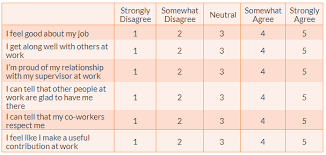 How to calculate the mean on a likert scale? Measurement Of Constructs Social Science Research Principles Methods And Practices Revised Edition