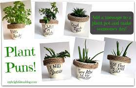 Plant Puns On Painted Potted Flower Pots Adorable Gift Idea To Make Them Smile My Bright Ideas