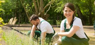 Garten und landschaftsbau gehalt studium ausbildung und. Gartner Ausbildung Stellen Voraussetzungen Ablauf Mystipendium