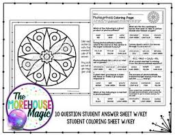 Photosynthesis green diffusion light green 2. Photosynthesis Color By Number Science Color By Number By The Morehouse Magic
