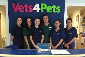 Maybe you would like to learn more about one of these? Cumbria Guide Local Veterinary Practice Vets 4 Pets Receives National Award