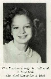 Friede-Abrahamson Genealogy Site