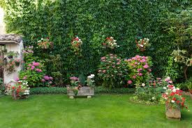 Find plants for pest control Espoma Bug Off Plants To Repel Mosquitoes Espoma