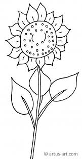 Sonnenblume Ausmalbild Gratis Ausdrucken Ausmalen Artus Art
