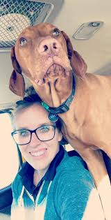 Here is my boy Zip! He is an agility dog!