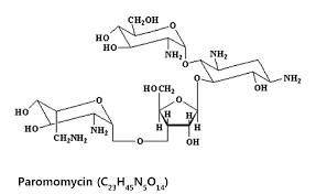 Image result for Paromomycin