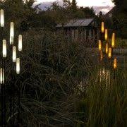 Objektleuchten Rohrkolben Mit Led Licht Im Garten Garten Gartenbeleuchtung