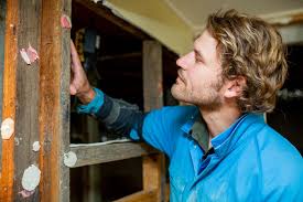 · 13 aralık 2017 ·. Pre Purchase Pest Inspections Melbourne Termite Specialist
