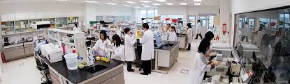 Related searches for dna asia ngv technology sdn bhd: Biotechnology