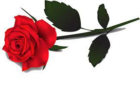 999 Flower Clipart Black And White Free Download Cloud Clipart Rose Clipart Single Red Rose Rose