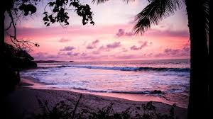1001 Photos Pour Un Fond D Ecran Nature Merveilleux Fond Ecran Nature Fond Ecran Plage Fond D Ecran Ordinateur