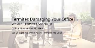 Pointe pest control is here to answers your questions and a heat treatment is one method pest control companies often employ to get rid of bed bugs. Pest Control In Kl Termite Control In Kl Kl Pest Control