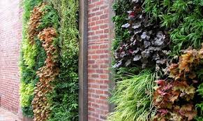 Maybe you would like to learn more about one of these? Modern Hydroponic Systems For The Home And Garden