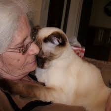 MONFISH 2PCS Deep Jumbo Muffin Pan 6 Cup Carbon Steel Black Stone non Stick  Coating Muffin Tin 3.5diax3 cup : Buy Online at Best Price in KSA