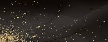 Insurance Asset Management, Europe 2017