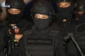 Special police officers are usually trained to a higher standard than regular personnel, because they are likely to be the officers required to enter besieged premises. Pesawat Mas Mahu Berlepas Ke Kota Kinabalu Digemparkan Dengan Serbuan Utk Pdrm
