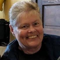 Dan Shipley's Instagram, Twitter & Facebook