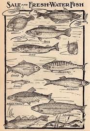 Salt And Fresh Water Vintage Chart Art Printswall Decor Etsy In 2021 Fishing Room Fishing Decor Fishing Bedroom