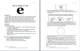 Lab Letter E Lab Letter E Lettering Microscopic Images