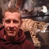 Animals are disappearing from forests, with grave consequences for the  fight against climate breakdown